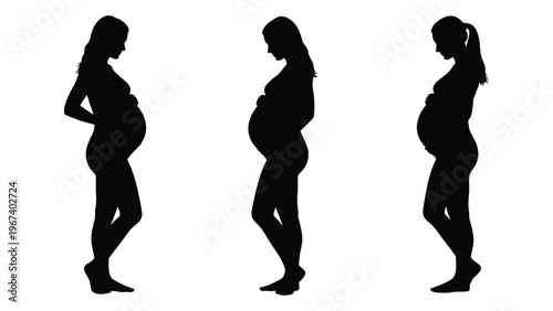 Silhouettes illustrating the progression of pregnancy showing a growing belly