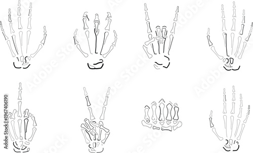 Skeleton Hand Gesture Vector Set Featuring Bone Illustrations of Peace Sign, Rock On, Middle Finger, and Fist for Halloween, Gothic Art, and Anatomy Concepts
