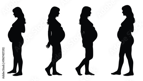 Silhouettes depicting the progression of pregnancy from early stages to full term