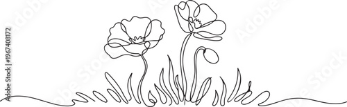 Poppy flowers in continuous line art drawing style. Doodle floral border with two flowers blooming among grass. Minimalist black linear design. one line Icon drawing