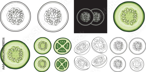Cucumber slice set in different styles. Detailed cross section illustrations. Color, outline and monochrome variations. Fresh vegetable design for food, packaging and nutrition concepts.