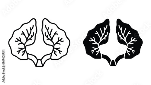 Comparison of leaf illustrations with different shading techniques for botanical studies