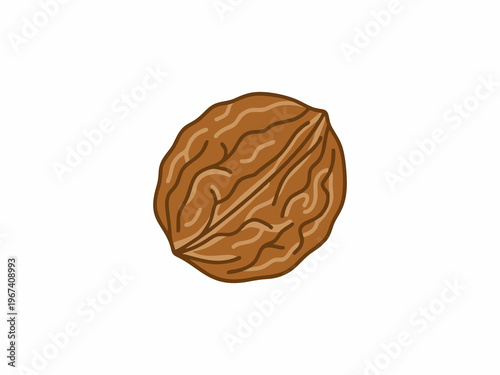 Whole Walnut Shell Vector Illustration Isolated on White Background