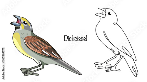 Dickcissel
