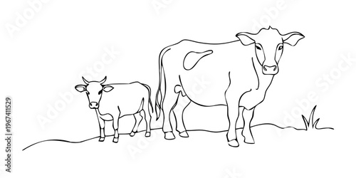 Simple white lines sketch on a completely black background