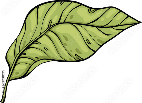 Sketch lemonade green leaf. Summer cold drinks, hand drawn yellow lemons slices and leaves. Glass of lemonade with ice vector illustration. Drink fruit lemonade graphic, juice and mint leaf