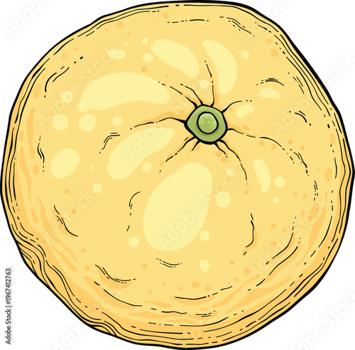 Sketch lemonade. Summer cold drinks, hand drawn yellow lemons slices and leaves. Glass of lemonade with ice vector illustration. Drink fruit lemonade graphic, juice and mint leaf