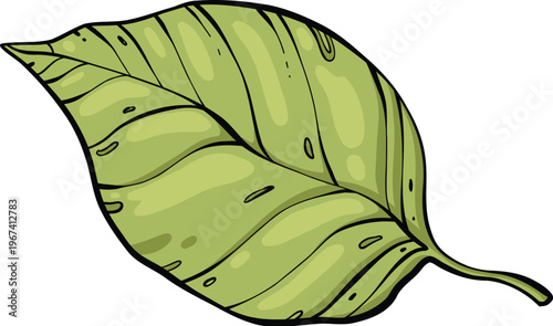 Sketch lemonade green leaf. Summer cold drinks, hand drawn yellow lemons slices and leaves. Glass of lemonade with ice vector illustration. Drink fruit lemonade graphic, juice and mint leaf