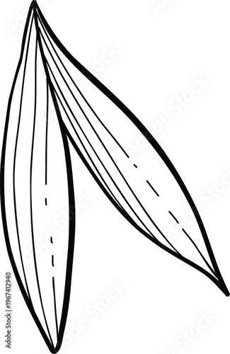 Sketch of meat product. Handdrawn beef, lamb and pork steak extra or medium rare. Grilled sausage