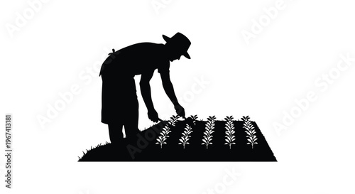 Gardener tending to plants in a field dramatic silhouette