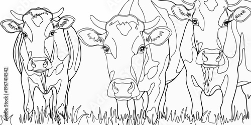 Stylized line art illustration of three cows in a field