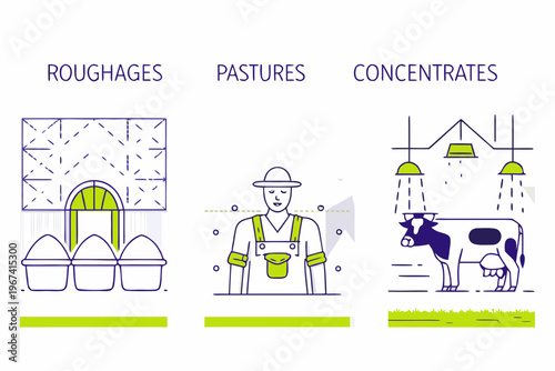 Illustration of animal feed types roughages pastures and concentrates