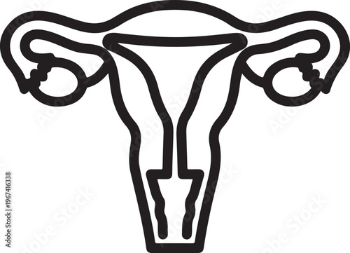 Female reproductive system anatomy line art on white background uterus