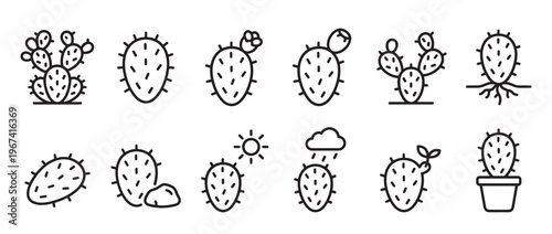 Collection of various prickly pear cactus line icons depicting different growth stages and weather conditions