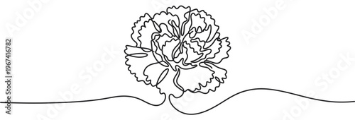 Single continuous line drawing of a beautiful blooming carnation flower with delicate petals, presented in a minimalist style