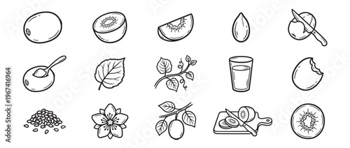 Collection of hand-drawn black and white kiwi fruit illustrations, depicting whole, sliced, and processed forms with leaves and seeds