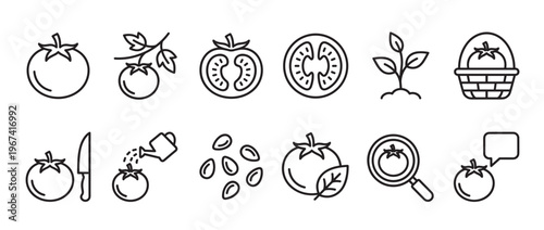 Collection of black outline tomato icons illustrating various stages of growth, preparation, and harvest, presented in a clean, minimalist style