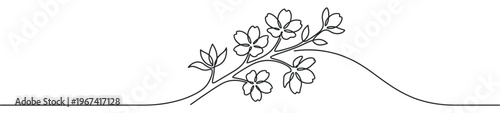 Delicate black line art drawing of a cherry blossom branch with several flowers and leaves, rendered in a continuous stroke style