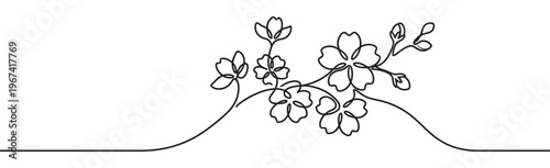 Elegant continuous line art drawing of delicate cherry blossoms on a graceful branch, symbolizing spring and renewal