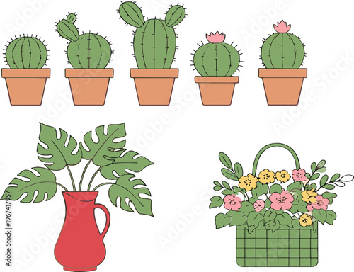 Cactus and houseplants collection potted succulents monstera leaves floral basket home decor vector illustration set