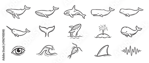 Collection of hand-drawn marine life icons, including various whales, a narwhal, a shark fin, and ocean elements, rendered in a charming sketch style