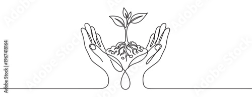 Continuous line drawing of two hands holding a small plant with roots, symbolizing growth and environmental care