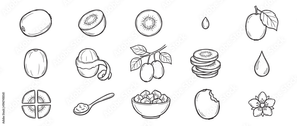 Fototapeta premium Various hand-drawn black and white kiwi fruit illustrations depict whole, sliced, peeled, and diced forms with a flower and drop