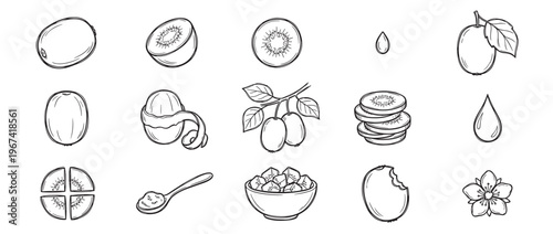 Various hand-drawn black and white kiwi fruit illustrations depict whole, sliced, peeled, and diced forms with a flower and drop
