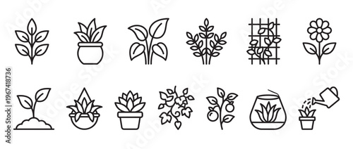 Collection of various plant and gardening line icons, including potted plants, sprouts, flowers, and watering cans, presented in a clean, minimalist style