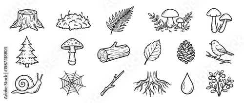 Collection of hand-drawn forest elements including mushrooms, trees, leaves, and animals in a simple black and white outline style