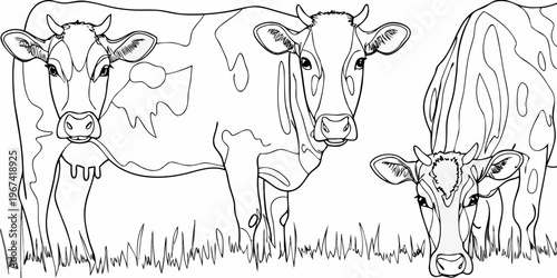 Line art illustration of three cows standing in a grassy field