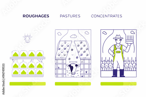 Illustration depicting different types of cattle feed roughages pastures concentrates