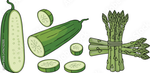 Fresh green vegetables cucumber slices and asparagus bundle healthy organic food vector illustration set