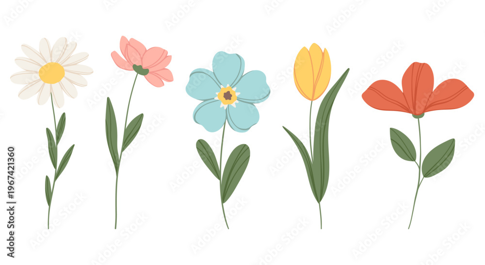 Fototapeta premium Pastel minimal flowers set