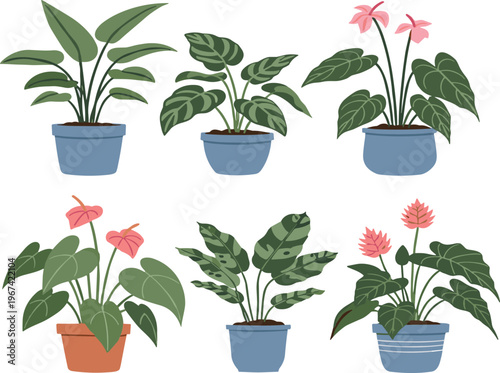 Indoor potted plant collection with tropical foliage and flowering houseplants decorative vector illustration set isolated on white background
