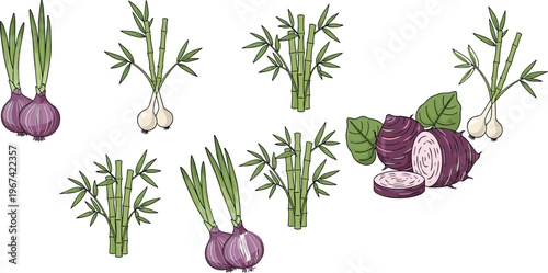 Onion garlic bamboo and beetroot collection with fresh vegetables hand drawn vector illustration set isolated on white background