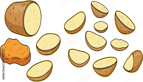 Potato collection whole sliced and fried nugget pieces fresh vegetable food vector illustration set