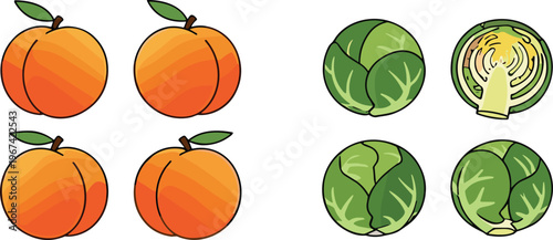Peach and cabbage vegetable collection with whole and sliced fresh food vector illustration set isolated on white background