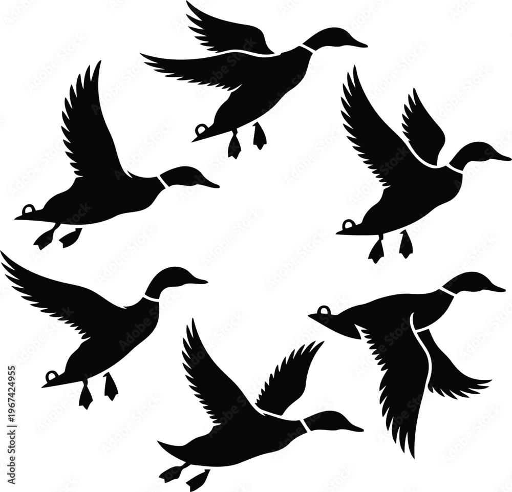 Obraz premium Depicting ducks in midflight against white silhouettes 