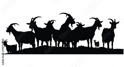 A group of goats stands on a hill depicted in silhouette