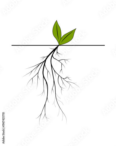Tiny green leaves sprout above ground. Roots branch below, reaching deep into soil. Simple line divides earth from sky. Growth begins from hidden strength. Perfect for nature, sustainability
