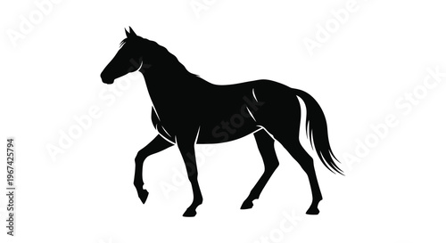 Elegant horse standing in a field a stunning black silhouette