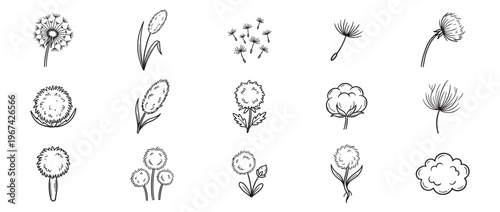 Collection of hand-drawn black and white line art illustrations depicting various fluffy plants and seeds with a whimsical style