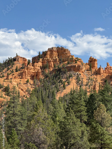 Hoodoo Rock Formations in Red Canyon Utah Photo
