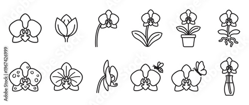 Collection of various black outline orchid flower icons and illustrations, showcasing different stages and compositions
