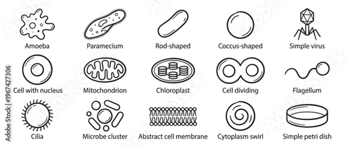 Collection of fifteen black and white outline icons illustrating various biological cells and microorganisms
