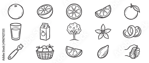 Collection of hand-drawn orange-themed icons, including whole fruit, slices, juice, a tree, flower, and zest, presented in a clean, illustrative style