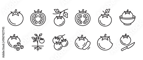 Collection of black outline tomato icons showing whole, sliced, growing, and prepared vegetables in a clean, graphic style