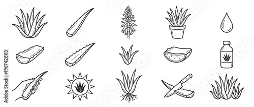 Collection of hand-drawn black and white aloe vera plant illustrations, including leaves, potted plants, and products
