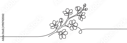 Elegant single continuous line drawing of a cherry blossom branch with delicate flowers and buds, minimalist artistic style